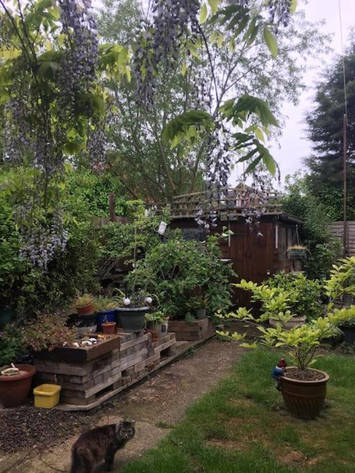 Carpe Diem Rooms Flat Near Zone 1 Londres Exterior foto